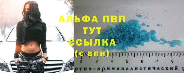 стафф Иннополис
