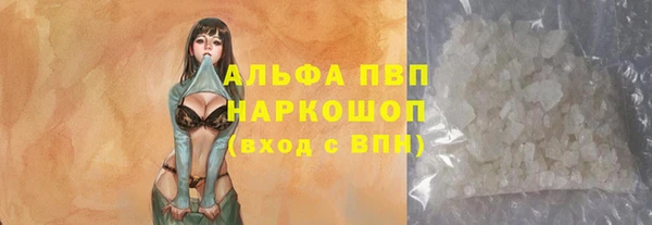 стафф Иннополис