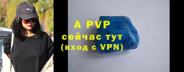 мяу мяу мука Инсар