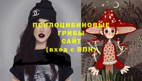 мяу мяу мука Инсар
