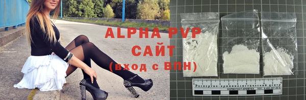 стафф Иннополис