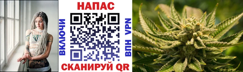 Купить  Можга  Бошки Шишки THC 21% 
